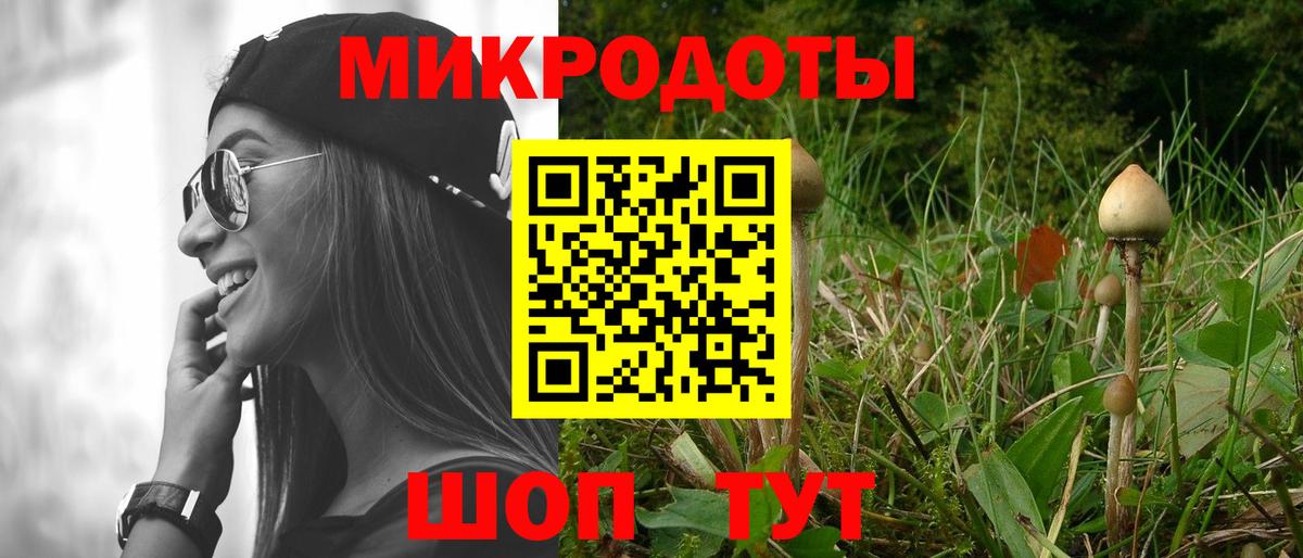 Галлюциногенные грибы прущие грибы Белореченск